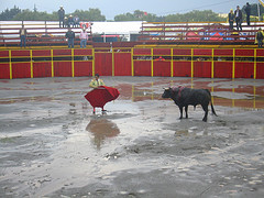 corrida de toros or charging of the bulls