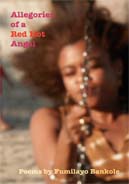Allegories of a Red Hot Angel: Poems